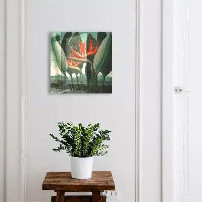 Tableau l'exotisme de la nature en couleurs éclatantes