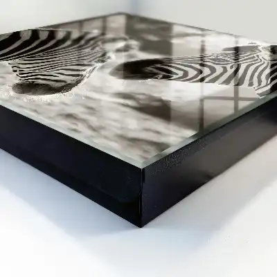 Tableau représentant des zèbres dans une harmonie noir et blanc