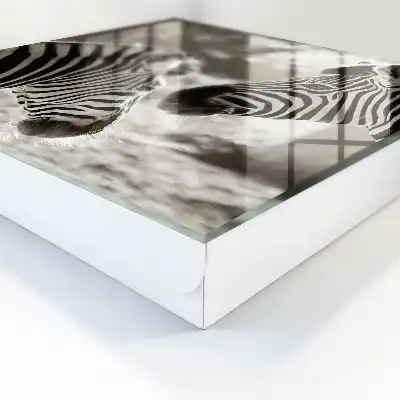 Tableau représentant des zèbres dans une harmonie noir et blanc