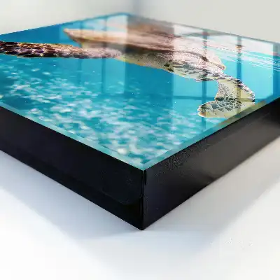 Le monde sous-marin des eaux bleues
