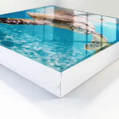 Le monde sous-marin des eaux bleues