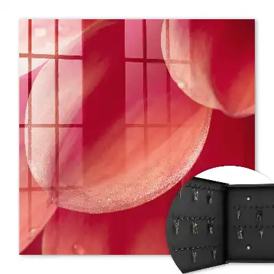 Intimité florale aux couleurs chaudes