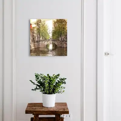 Le canal de la ville bordé d'arbres verdoyants