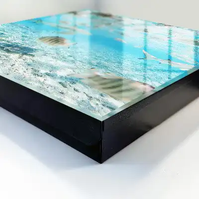 Vie aquatique de l'harmonie