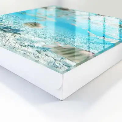 Vie aquatique de l'harmonie