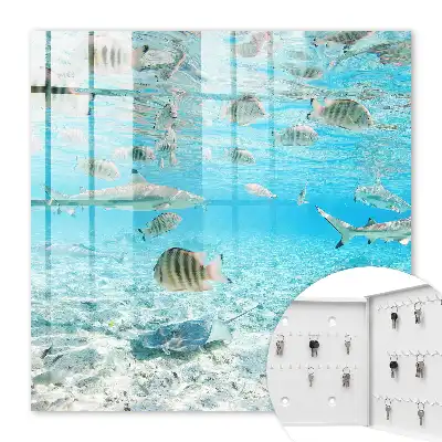 Vie aquatique de l'harmonie