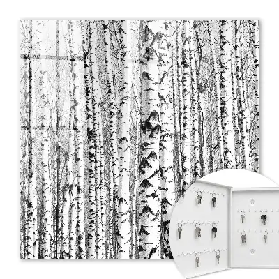 Forêt de bouleaux