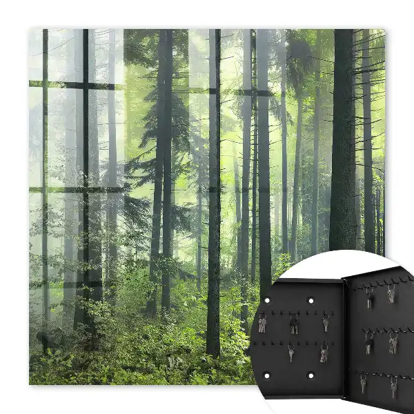 Forêt verte du soleil