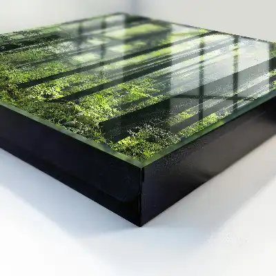 Forêt verte du soleil
