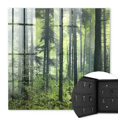 Forêt verte du soleil