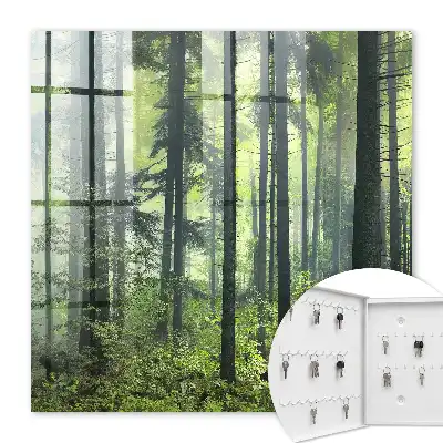Forêt verte du soleil