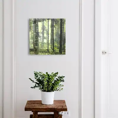 Forêt verte du soleil