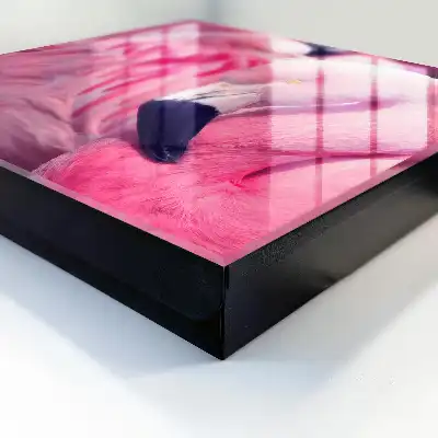 Beauté rose dans une douce lumière