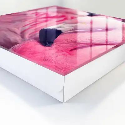 Beauté rose dans une douce lumière