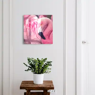 Beauté rose dans une douce lumière