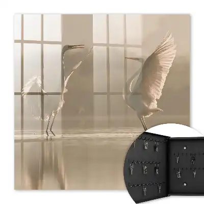 Danse des oiseaux de l'harmonie
