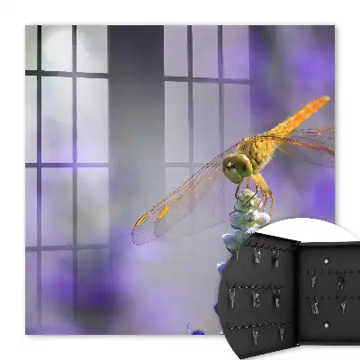 Libellule sur une fleur violette