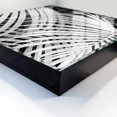 Feuilles de palmier noir et blanc