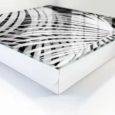 Feuilles de palmier noir et blanc