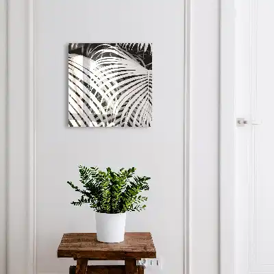 Feuilles de palmier noir et blanc
