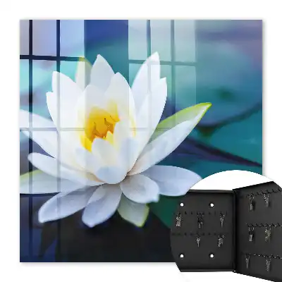 Méditation sur le nénuphar en pleine nature