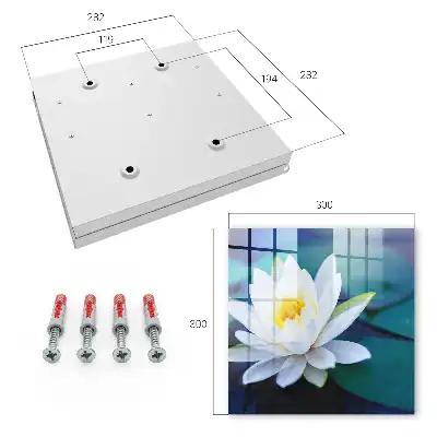 Méditation sur le nénuphar en pleine nature