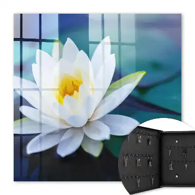 Méditation sur le nénuphar en pleine nature