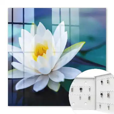 Méditation sur le nénuphar en pleine nature