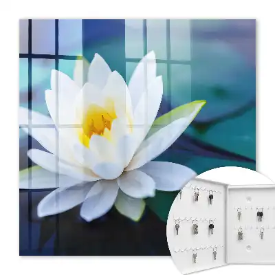 Méditation sur le nénuphar en pleine nature