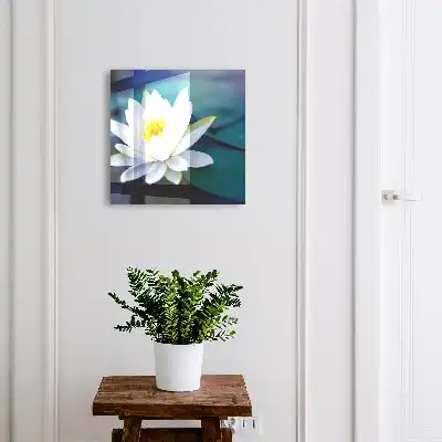 Méditation sur le nénuphar en pleine nature