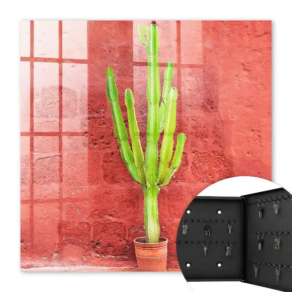 Cactus vert sur un mur rouge