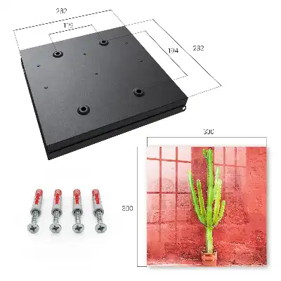 Cactus vert sur un mur rouge