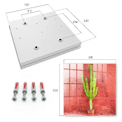 Cactus vert sur un mur rouge