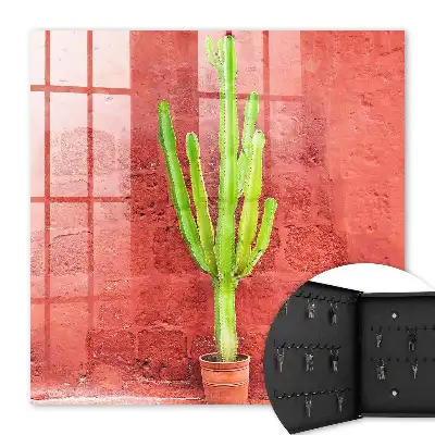 Cactus vert sur un mur rouge