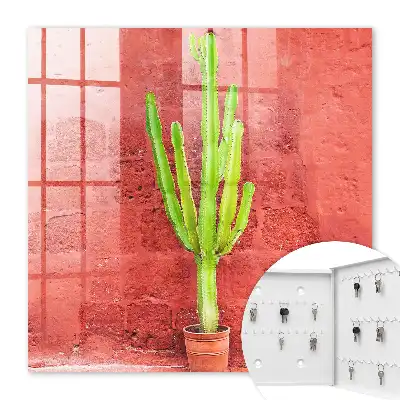 Cactus vert sur un mur rouge