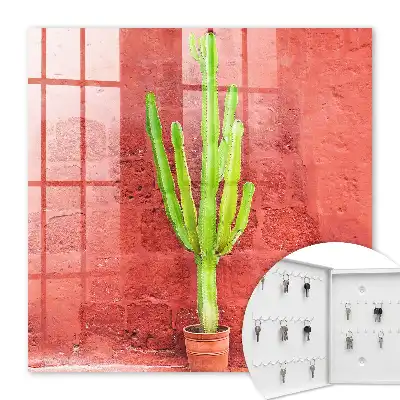 Cactus vert sur un mur rouge