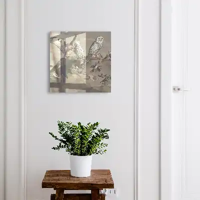 Oiseaux sur un rocher pittoresque
