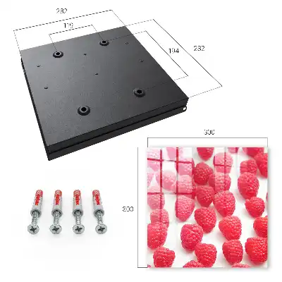 Framboises roses sur fond clair