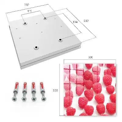 Framboises roses sur fond clair