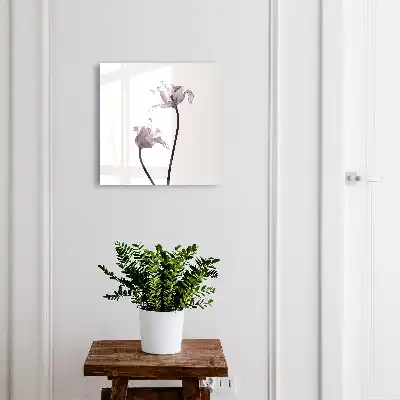 Fleurs minimalistes sur fond clair