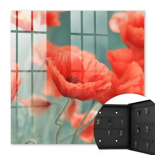 Coquelicots rouges sur fond vert