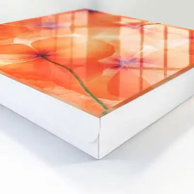 Eau de parfum Extase florale pleine d'énergie