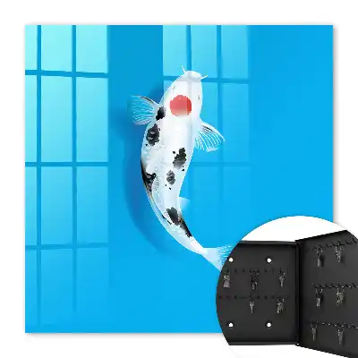 Poisson koi sur fond bleu