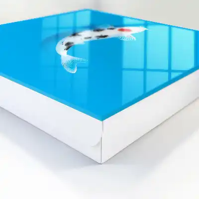 Poisson koi sur fond bleu