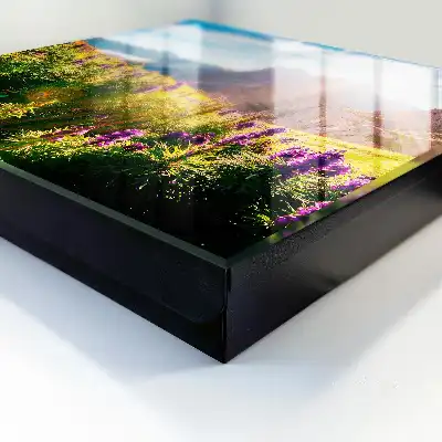 Un havre de paix montagnard avec ses fleurs et son soleil
