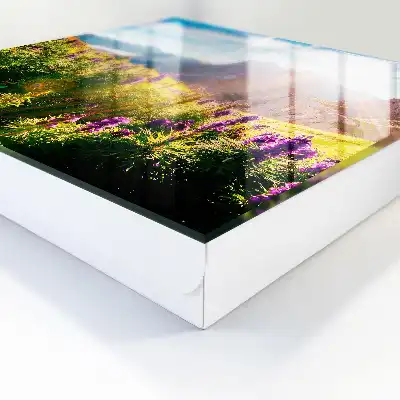 Un havre de paix montagnard avec ses fleurs et son soleil
