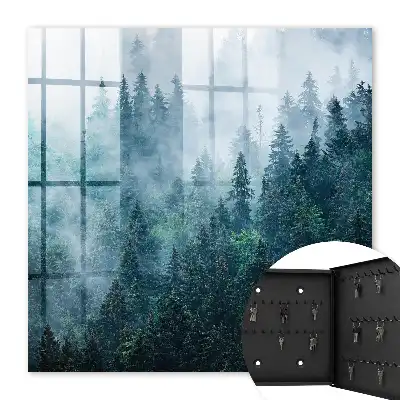 Forêt verte dans le brouillard matinal