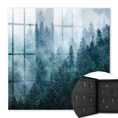 Forêt verte dans le brouillard matinal