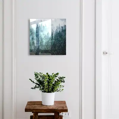 Forêt verte dans le brouillard matinal