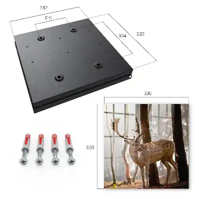 Tableau décoratif Des cerfs dans la forêt au coucher du soleil